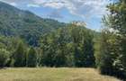 Teren Montan 6.572 mp Jie? (Petrila , Jude?ul Hunedoara) - 10