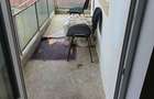Apartament de Inchiriat 2 Camere Ultracentral. Et 1. Decomandat. - 4