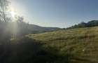Vand teren in sat Sardu - 6