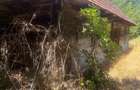 Vand casa zona Brusturi, jud. Arad - 3