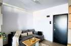 Inchiriere Apartament 1 camera in Andrei Muresanu - 9