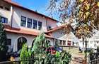 Spatiu comercial ultracentral, in Campina, PH, Parc central Milia, Bdul Carol I - 11