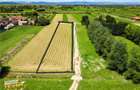 Teren intravilan,2.900mp,recomandat: investitional rezidentialconstruc - 5