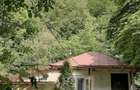 Casa vacanta Lopatnita Prahova - 4
