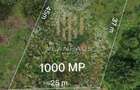 Teren intravilan Ardusat, 1000 mp, acces din drum asfaltat - 4