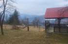 Vand teren intravilan in Moisei Maramures - 1
