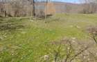 Teren de 2650 mp, în Malurile - 4