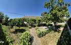Casa cu teren 760 mp | Valu lui Traian | Zona Linistita - 3