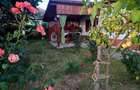 Casa de vanzare-Sat Profa Deal(35km de pitesti) - 7