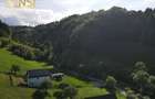 Teren constructii intravilan || Bran || Simon || 2668 mp - 6