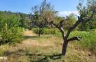 Casa de vanzare in mediul rural lini?te, natura ?i confort - 11