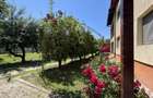 Investitie Turism | Casa | 5164 mp teren | Lac Propriu | Malu cu Flori - 15
