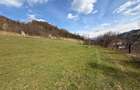Teren de vanzare Viseu de Jos, zona ,,In Dumbrava - 4