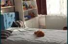 Proprietar,schimb cu 2 cam sau,vand apt.3 cam dec.Zona pietonal Unirii.turnBotosani