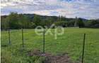 Teren intravilan 1.000 mp | Băbana | Stradal | Asfalt | Utilități la limită - 5