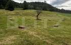 Teren intravilan, Bucsoaia - Frasin, 13000 mp - 10