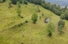Teren de 30000 mp, în Șanț - 4