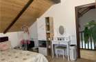 CASA 4 CAMERE I PLAN PARTER + SUBPANTA I CARTIER TINERETULUI - 14