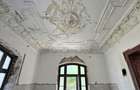 Ultracentral | 319SQM Historic Villa + 306sqm Land | Arh Ion Berindei