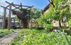 Inchirieri Apartamente 4 Camere KISELEF