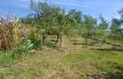 Casa 206 mp la gri, teren 1.832 mp, zona Glodeni Deal - Glodeni (Dambovita) - 11