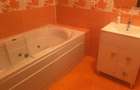 Apartament de inchiriat Baia Mare - 4