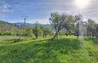 Teren extravilan de vanzare, Com. Nucsoara, Jud. Arges, 10/mp - 2
