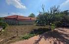 Casa de vanzare in Comana, judetul Giurgiu teren generos, langa parc si cu padurea in spatele proprietatii - 2