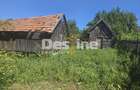 Casa Rustica cu Gradina Valea Doftanei - 6