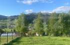 Teren intravilan in Vatra Dornei, 2000 mp - 5
