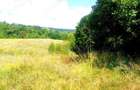 12,4 ha teren comasat,jud.Sibiu