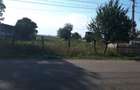 Teren Miroslovesti, Pascani - 2