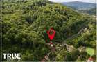 Casă de vacanță de vânzare, 70 m² – Sovata, județul Mureș - 2