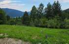 Teren de 2000 mp, în Hangu