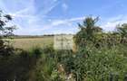 Teren de 11.000 mp cu casa ?i teren agricol | La 40 km de Bucure?ti | - 2
