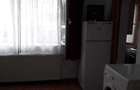 Inchiriez garsoniera in Vasile Aaron - 4