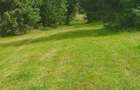 Teren de 3000 mp, în Beliș - 5