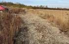 teren intravilan localitatea Paleu 1 km de limita cu Oradea