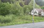 Teren intravilan 5000mp construibil Maieru?, Brate?, Valea Tarcaului - 4