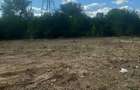 vand 100000 metri 10 hectare langa baza sportiva a lui gigi becali - 3