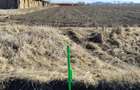 Teren de 3600 mp, în Hălchiu - 5
