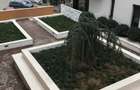Proprietar inchiriez apartament 2 camere FUTURE RESIDENCE - 1