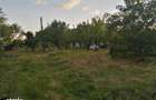 Vand teren intravilan, 1600 mp, la 22 km de Cluj-Napoca - 8