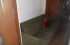 Centru-parter-zona Bradet - 2