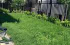 Apartament 4 camere nemobilat | 220 mp | Curte 122 mp | Pepinierii - 19