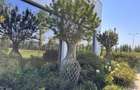 2 camere decomandat | Parc privat | TVA inclus - 10