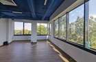Herastrau exclusivist office 160mp - 18