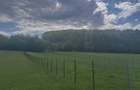 Teren intravilan, 2500mp, Voievodeasa, Marginea - 4