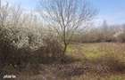 Teren intravilan, 1080 mp, Lipova - 3