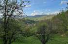 Vand teren intravilan - Breaza Valea Tarsei strada Tudosesti 4300 mp - 19